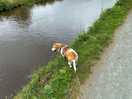 Ripley wanted to paddle, not advised!