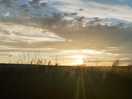 The view over the fields