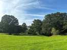 Fields