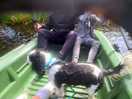 Boat fun