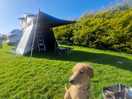 Pup outside our tentbox