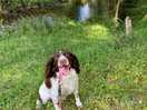 Public footpath nearby