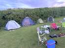 The tents