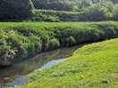 Peaceful and great river location