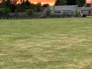 Sunset over millfields