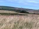 Near to historical sites like this chalk horse with rider