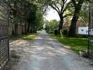 Grounds