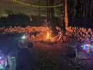 Beautiful lights around the firepit