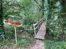 Entry into the woods