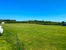 The willows camping field on a glorious friday in may, only 3 pitches taken.