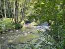 River behind campsite