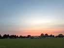 View across the field site at sunset