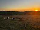 Beautiful scenery