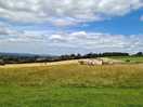 Farm view