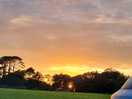 Lovely sunsets