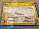 Squishie certificate