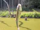 Caught lots of fish