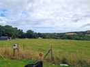 Part of view from porch of tent