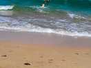 Beautiful clean beach