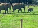 Whipsnade zoo
