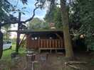The cabin
