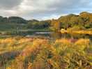 The lake