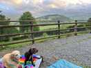Happy doggos enjoying the views!