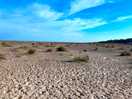 The beach