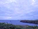 View from the site at dusk