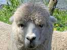 You looking at me