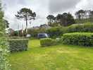 Lush hedging and planting