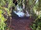 Riverside path