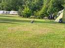 Camp