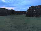 Evening views