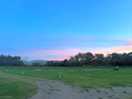 Evening view