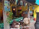 Cosy and colourful sipping area. there are plenty of games available.