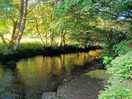 View of river