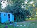 Panoramic of willow & path leading up to her.
