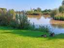 Pond