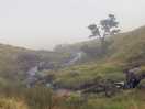 Views on the walks