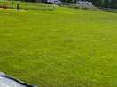 Field
