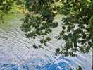 River walk