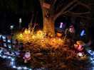 Lovely little fairy garden, great for kids. my teen loved it.