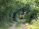 Lovely walk down to the trainline