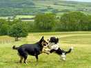 Mia and our ted playing in campsite
