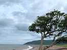 Porlock weir beach