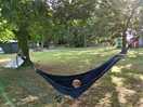Relaxing in the hammock at the spinney