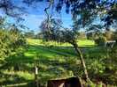 Beautiful view from the porch.