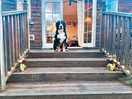 Decking area with lovely lighting and christmas decorations