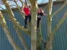 Tree climbing